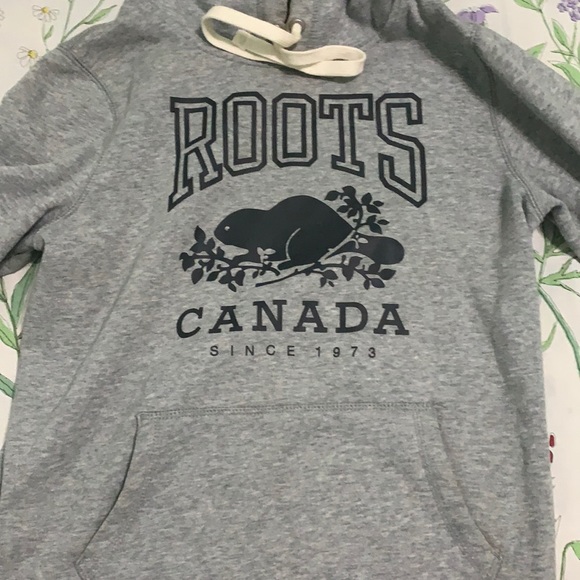 Light Grey Roots Hoodie - Size XS - Picture 1 of 3